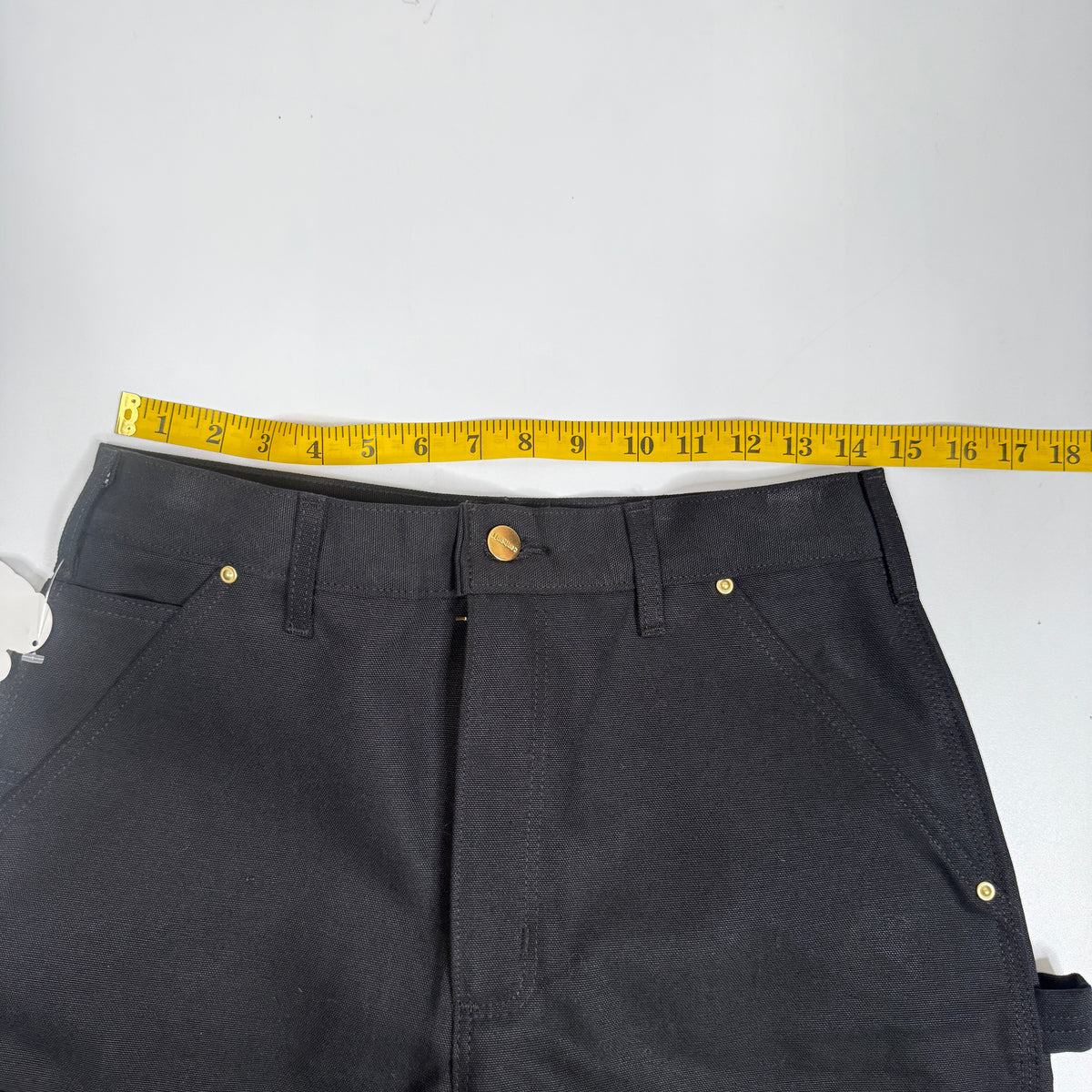 NWT Carhartt Iconic B01 Firm Duck Double Front Loose Fit Work Pants 30" Black