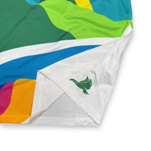 Load image into Gallery viewer, 2021 Nike SB Parra Jersey L